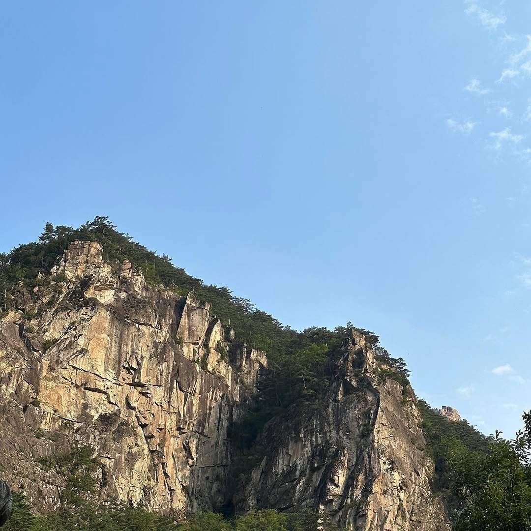 hippo_039 게시물 이미지: 23.06.10-06.14
4박5일 휴가동안 좋아하는 바다. 강. 산 다 보고 배도...