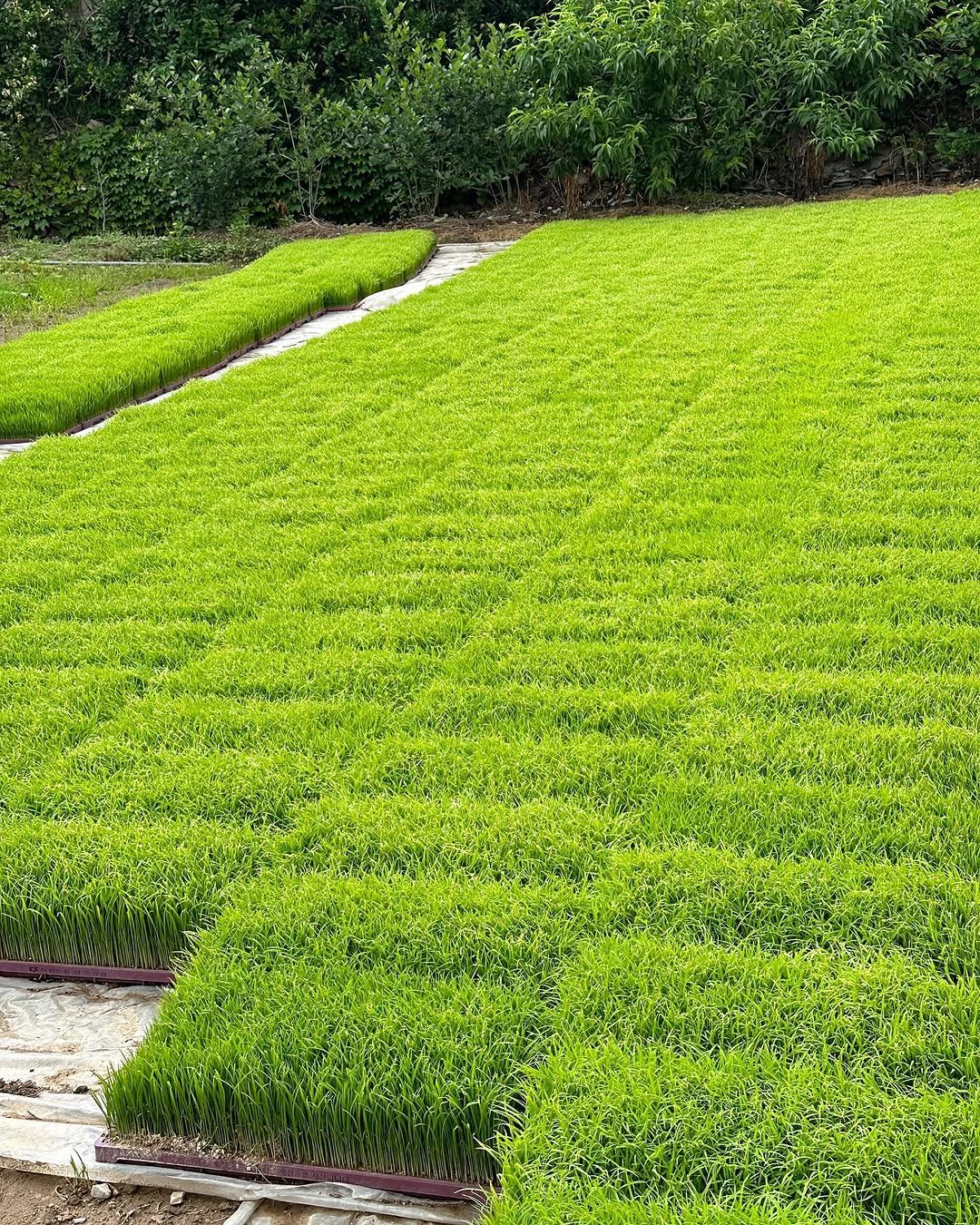 Photo by Hye won on May 31, 2023.