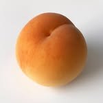 salgu.haus 프로필 사진