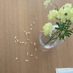 villavillaas 프로필 사진