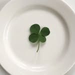 hippo_mansion_ 인스타그램 프로필 사진