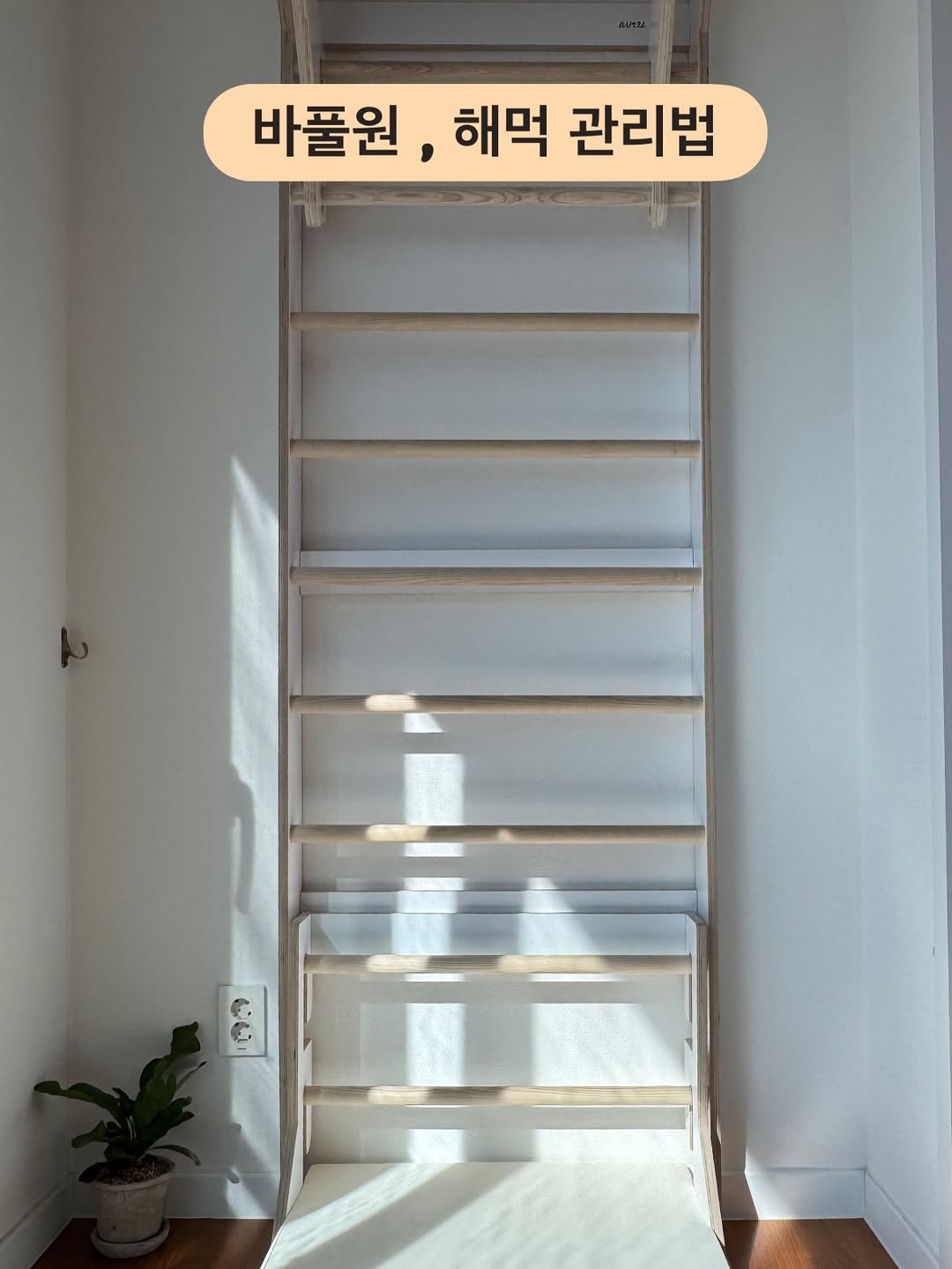 Photo by eunhee kimㅣ희치홈 ㅣ 정리. 청소 on February 15, 2026. May be an image of ladder, rack, clothes hanger and text that says '바풀원, 해먹 관리법'.