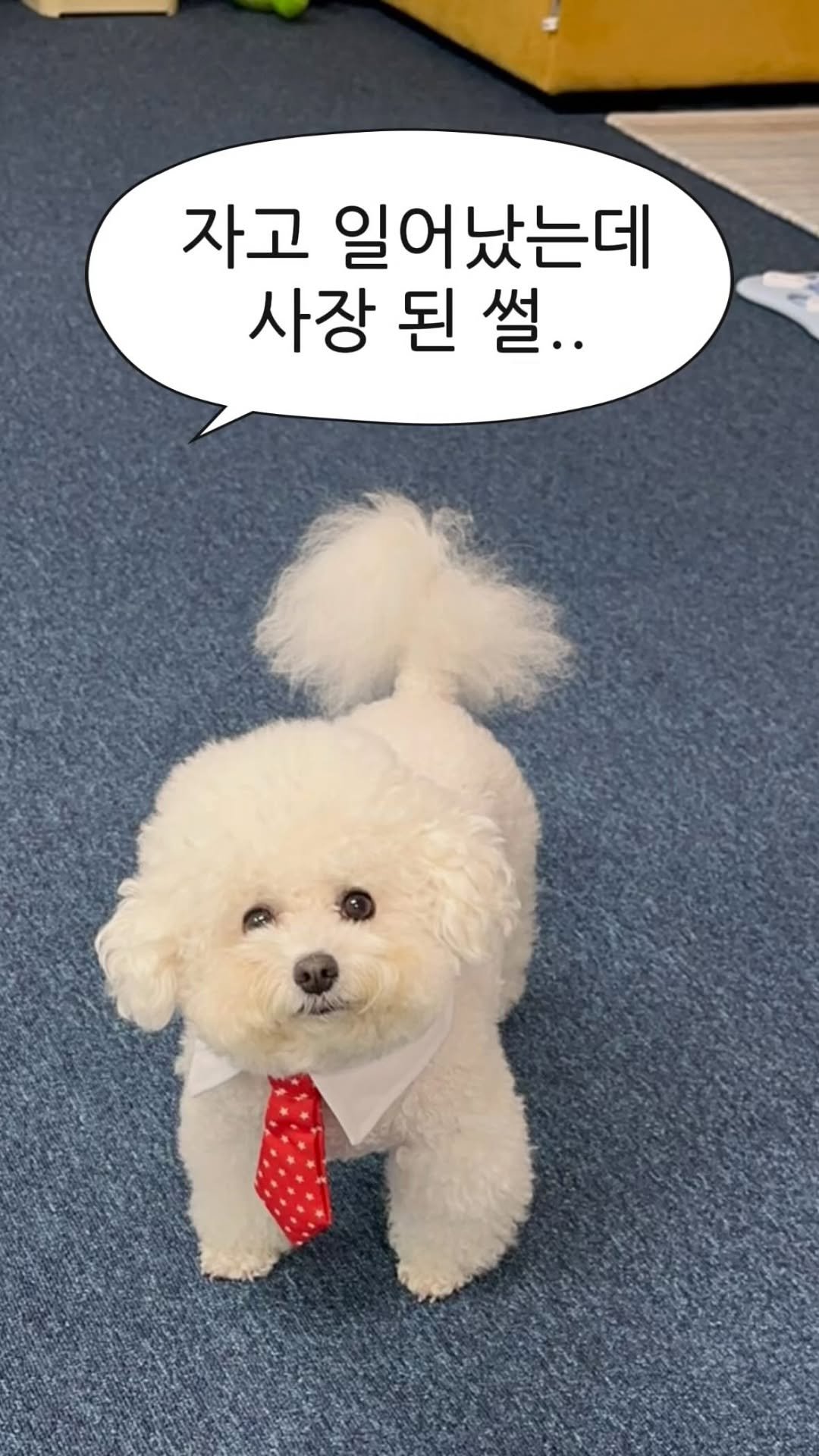 hitoyou_studio 게시물 이미지: 자고 일어났더니 사장 된 썰 ..