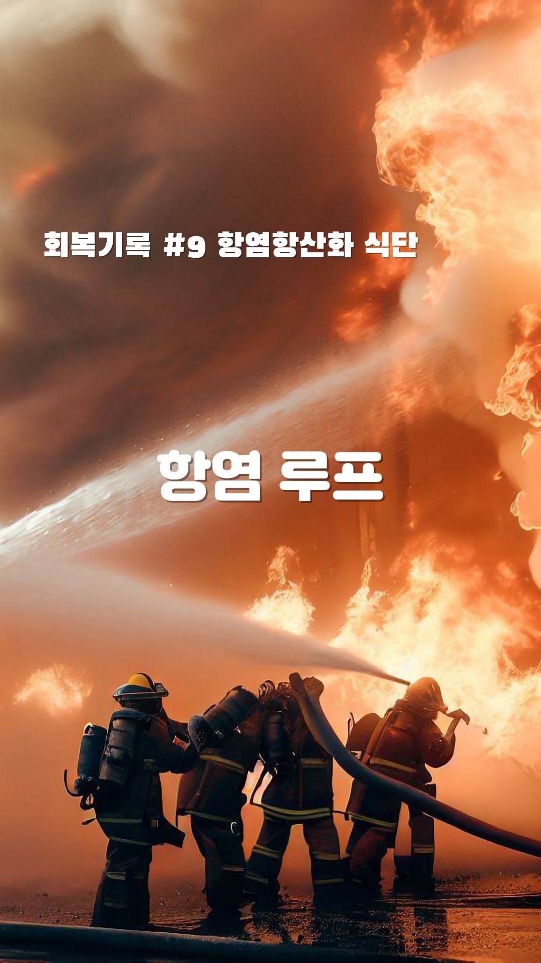 hivus.inc 게시물 이미지: 항산화항염 2단계 식단과 유형별 아토피정리자료는 다음 편에 같이 배포 합니다 :)