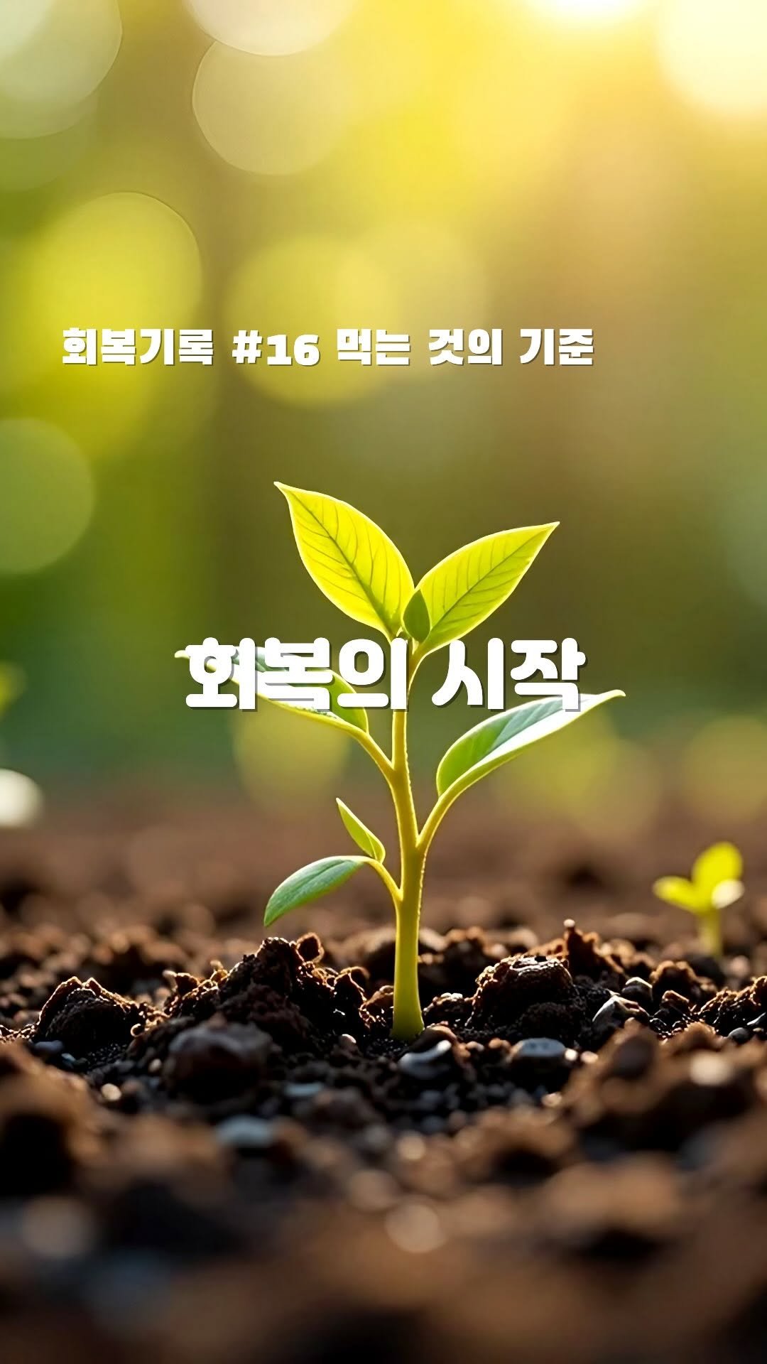 hivus.inc 게시물 이미지: 필수영양성분표를 보면 이 역시 함량식품 1,2등으로 구분해놨어요.
그렇게 하니 이제...
