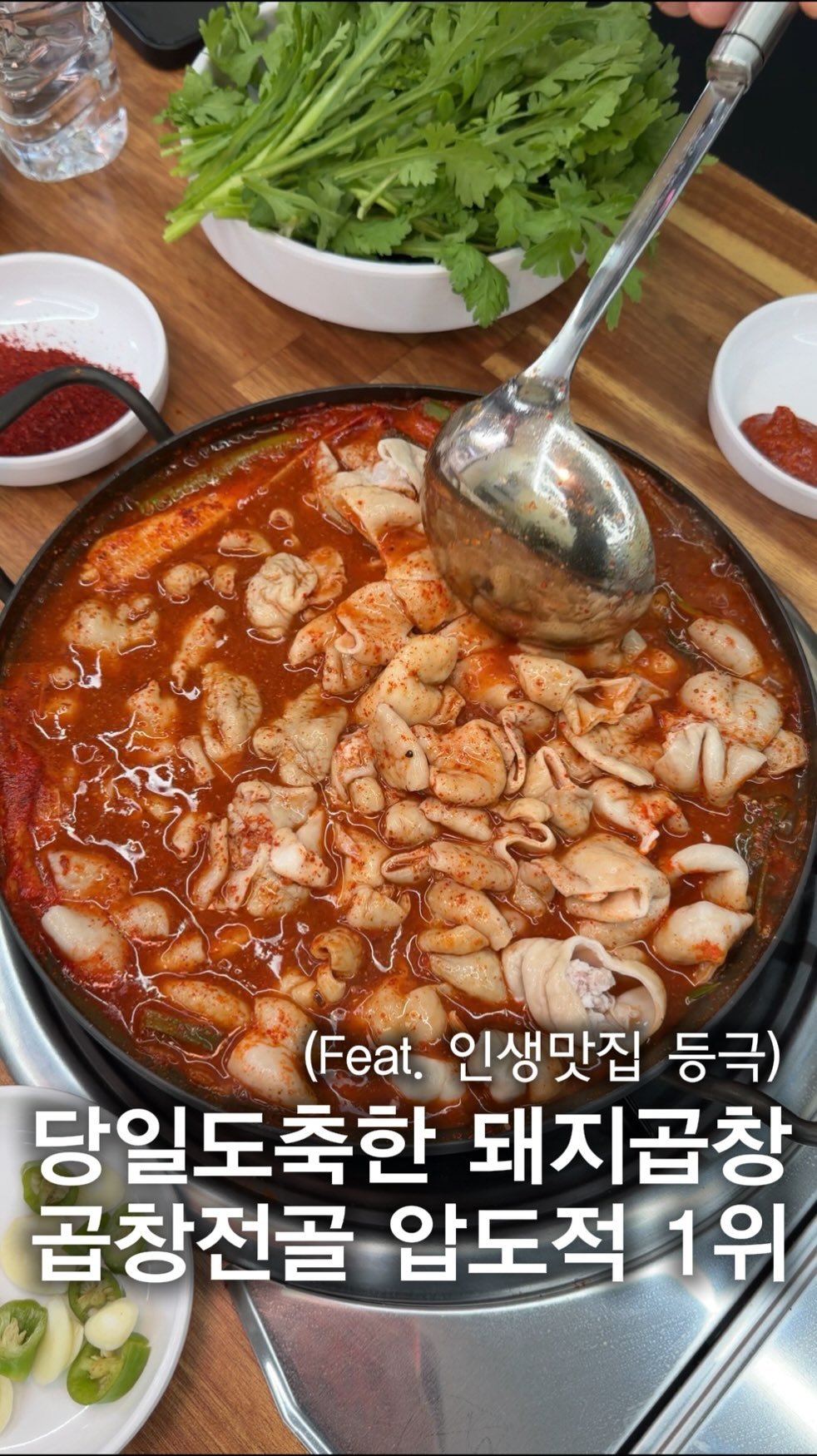 hj_foodie 게시물 이미지: ((저장))⭐️ 돼지곱창전골 압도적1위 맛집인 곳,,,,

무조건 당일도축된 국내산...