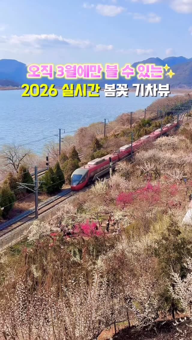 hj_rebecca 게시물 이미지: (저장/공유💌) 오직 3월에만 볼 수 있는 #실시간 봄꽃 기차뷰🩷

📸 2026....