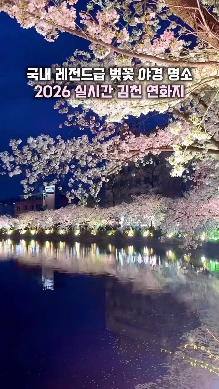 hj_rebecca 게시물 이미지: (공유/저장💌) 국내 레전드급 벚꽃 야경 명소 #실시간 김천 연화지🩷

📸...