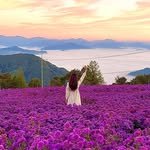 hj_rebecca 인스타그램 프로필 사진