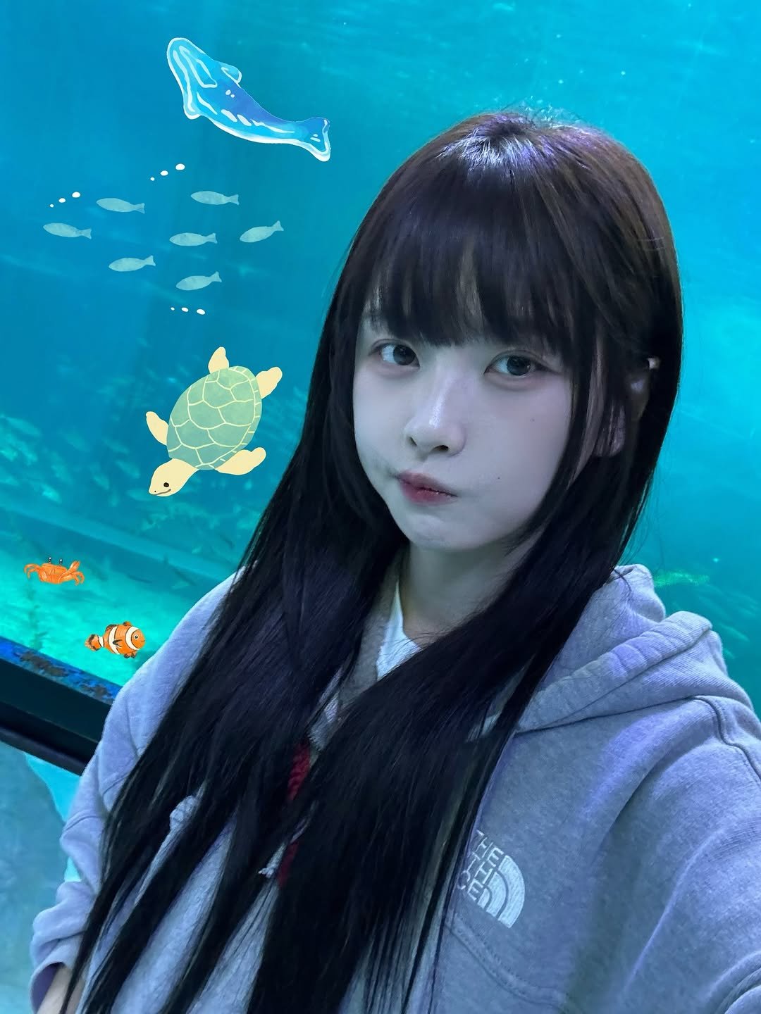 Photo by 고말숙 on April 07, 2026. May be an image of one or more people, hair, fish, aquarium and text.