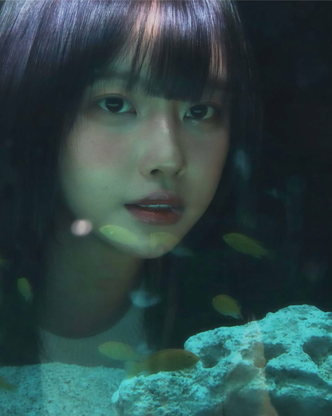 Photo by 고말숙 on January 10, 2026. May be a closeup of one or more people, hair, fish and text.