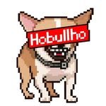 hobullho_og 인스타그램 프로필 사진