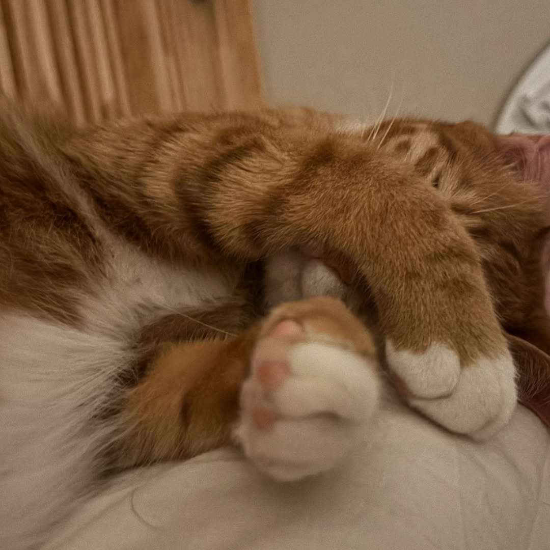 Photo by 호두랑 마루 on September 21, 2025.