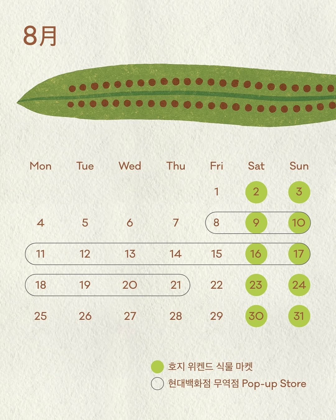 Photo by 호지 hoji® on July 30, 2025. May be an image of worm and text that says '8月 Mon Tue Wed Thu Fri Sat Sun 4 1 5 2 6 3 7 11 8 12 9 13 10 14 18 15 19 16 20 17 21 25 22 26 23 27 24 28 29 30 31 호지 위켄드 식물 마켓 현대백화점 무역점 Pop-up Store'.
