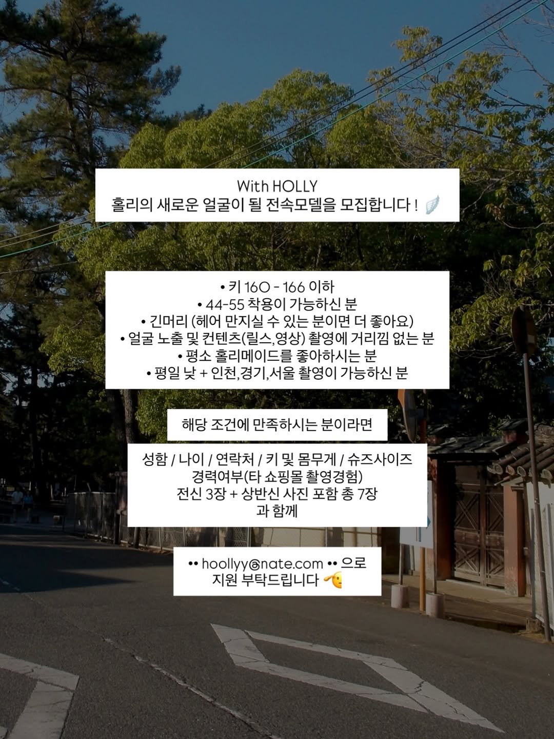 holly_meing 게시물 이미지: With HOLLY
홀리의 새로운 얼굴이 될 전속모델을 모집합니다 🪽

홀리메이드와...