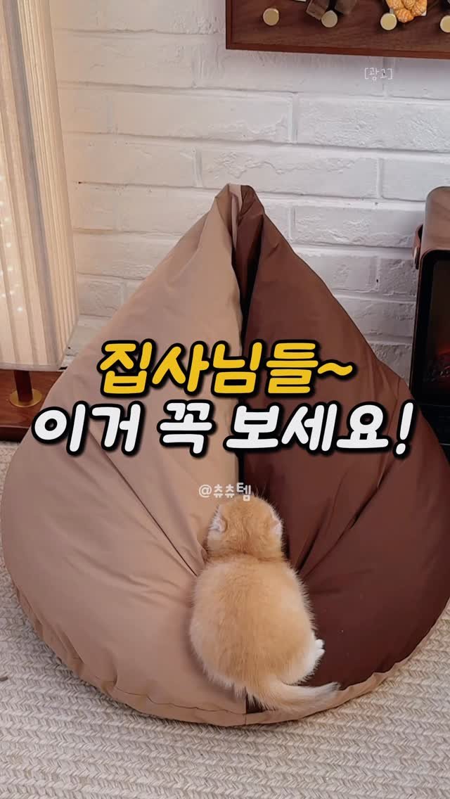 home_design_note 게시물 이미지: 요즘 냥이, 자꾸 이불 속으로 파고들지 않나요?🥹❄️

❤️ 댓글에 <<추워>>라고...