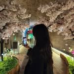 saedaek_item 프로필 사진