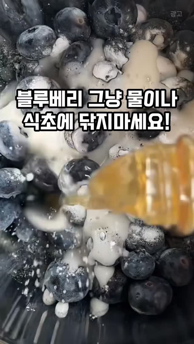 home_salimm 게시물 이미지: 댓글에 나도 남겨줘
초등학교 영양사 시어머니가 숨겨둔 블루베리 세척 비법...