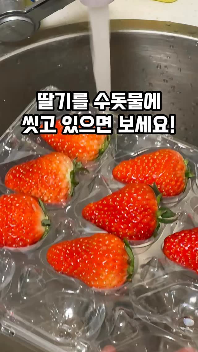 home_salimm 게시물 이미지: 댓글에 나도 남겨줘
수돗물로 대충 씻은 딸기에 기생충 득실거리는 거 알고...