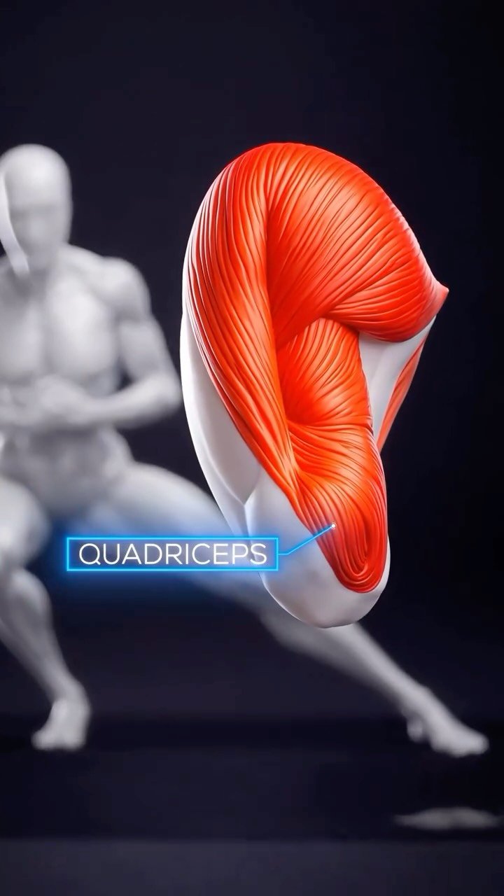 homeabs 게시물 이미지: How to Do Lateral Lunges Properly

 Stand...