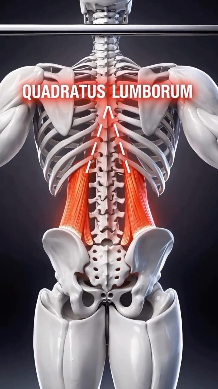homeabs 게시물 이미지: Tight lower back and uneven squats? 🚫

Fix...