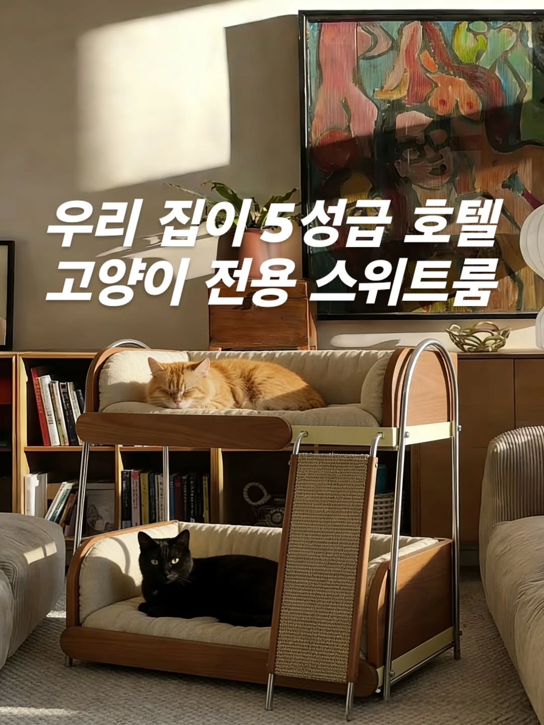 Photo by QuickFixDIY on February 16, 2026. May be an image of animal, sofa, chaise lounge, futon and text that says '우리 집이 5성급 호텔 고양이 전용 스위트룸 എබ්'.