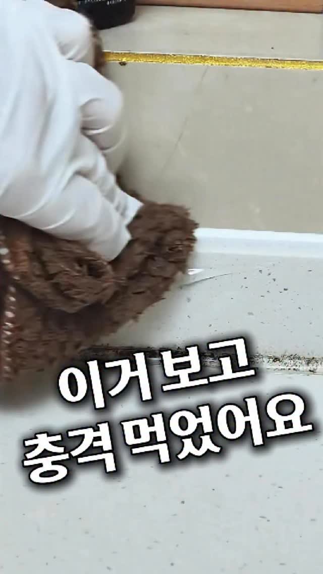 homes_tips 게시물 이미지: 충격!! 

입주청소업체 사장님이 강력 추천하신 
찌든 곰팡이 제거제 써보고 충격...