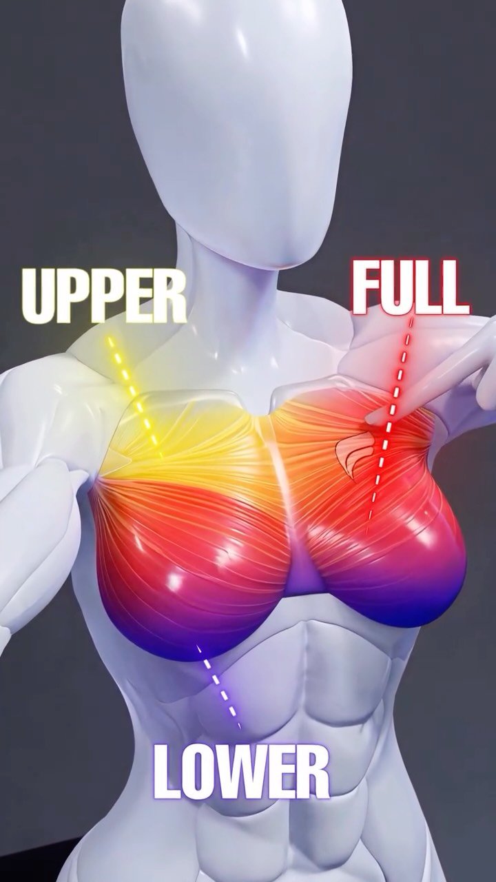 homesquatguide 게시물 이미지: This is how you target every part of your...