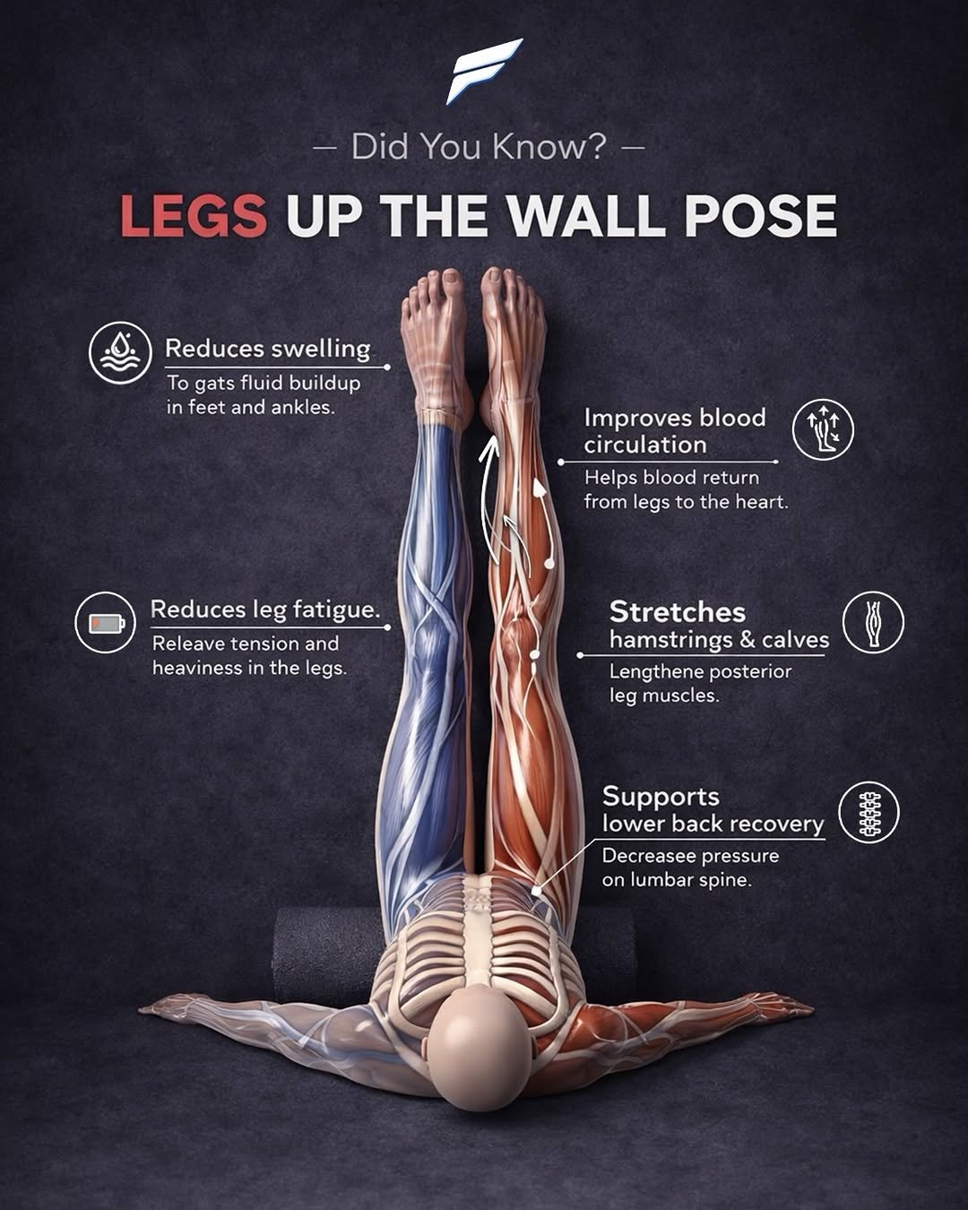 homesquatguide 게시물 이미지: Legs up the wall pose benefits

A simple...
