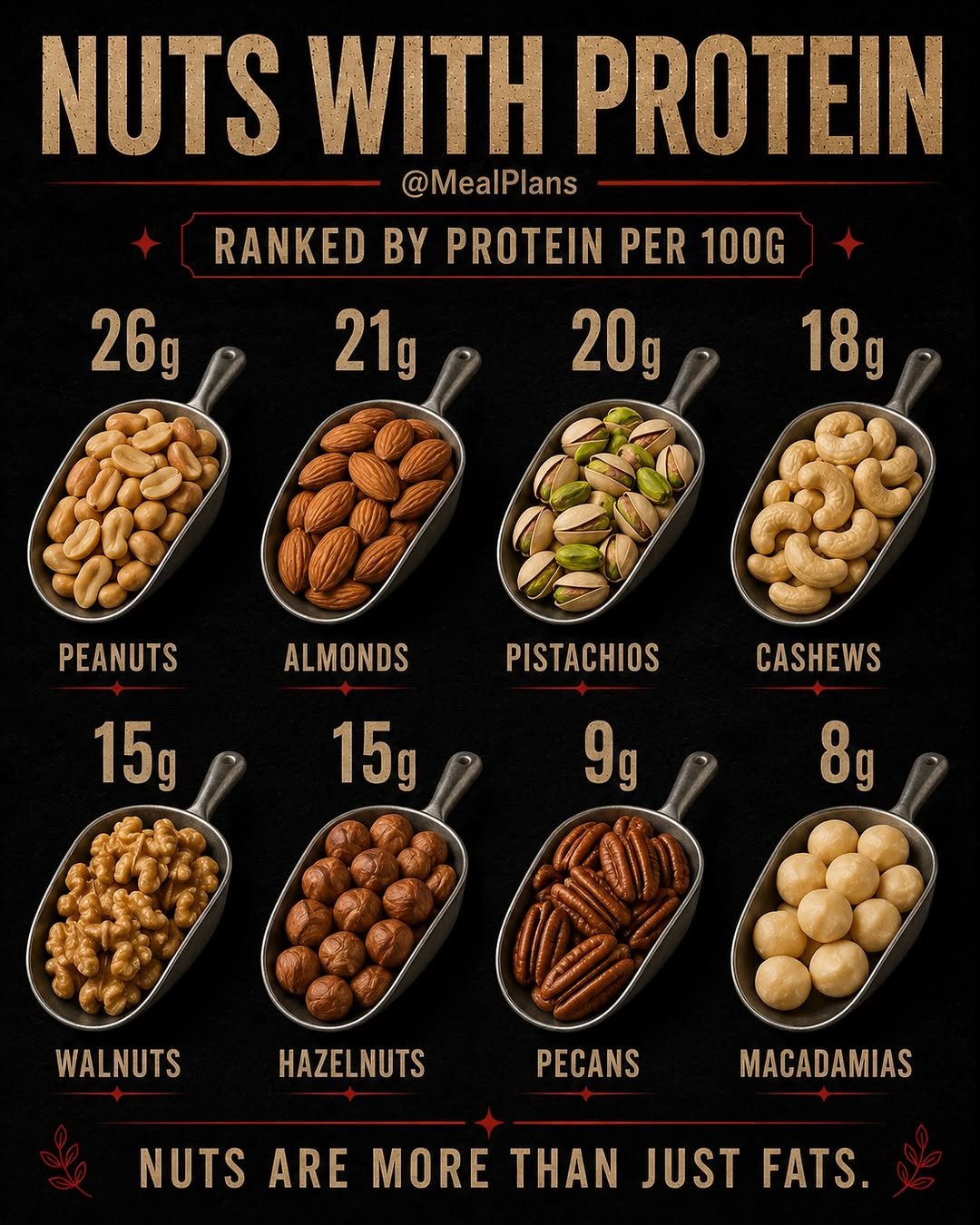 homesquatguide 게시물 이미지: High in protein. Big on flavor.
The easiest...