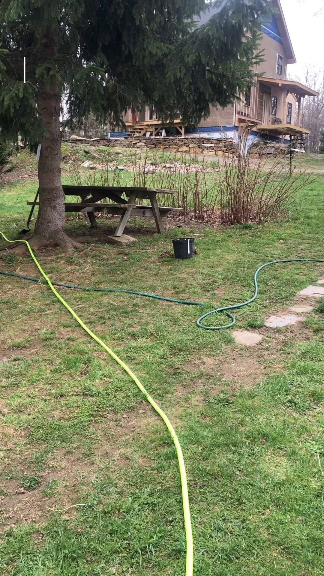 homestead_honey 게시물 이미지: A huge milestone - after 4 years of carrying...