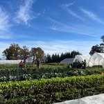 evenpullfarm 프로필 사진