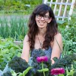 seedtofork 프로필 사진