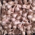 edibleacres 프로필 사진