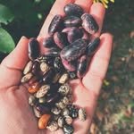 ajwildwayfarm 프로필 사진