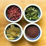 thebackyardforager 프로필 사진