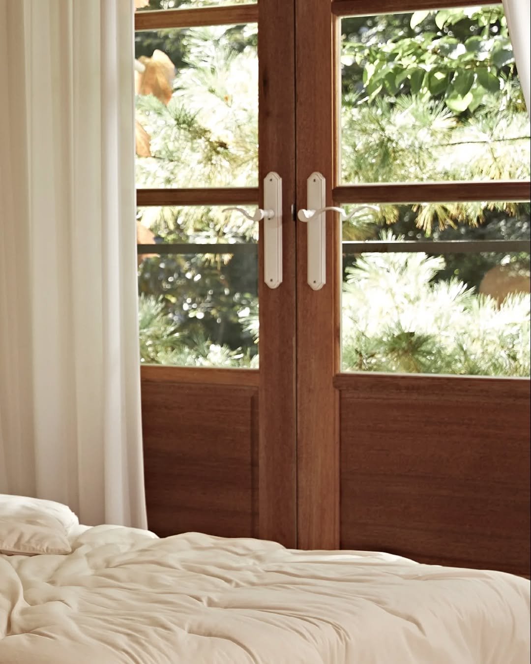 Photo by 호무로 | 𝐇𝐎𝐌𝐔𝐑𝐎 on January 23, 2025.