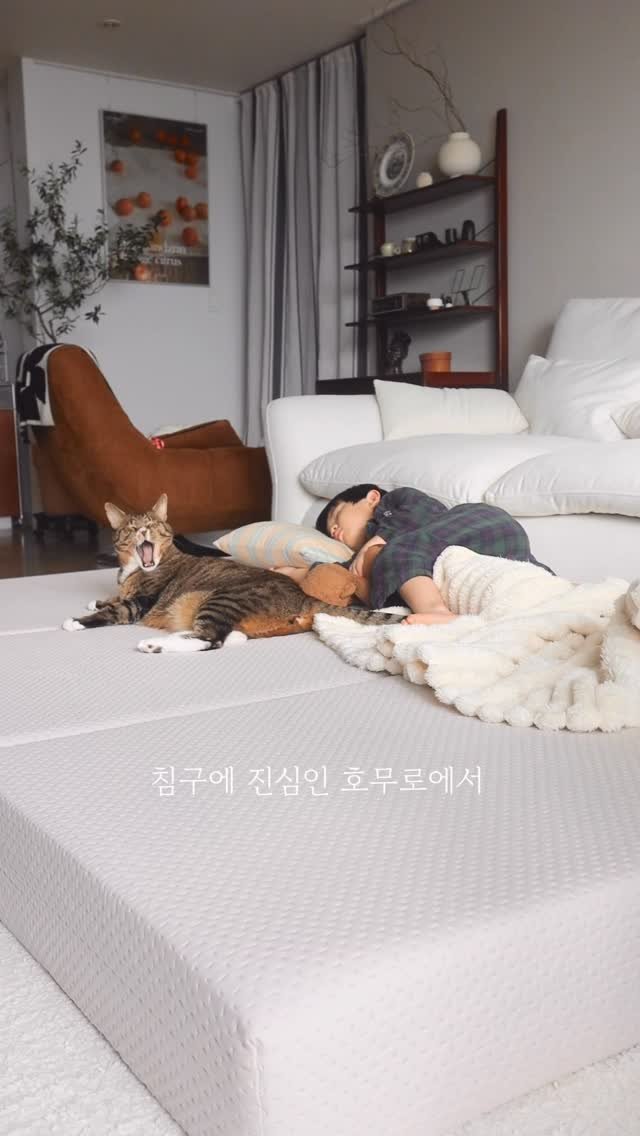 homuro.official 게시물 이미지: #제품제공

요즘 우리집에서 제일 인기 많은 공간은 바로 
호무로 매트리스...