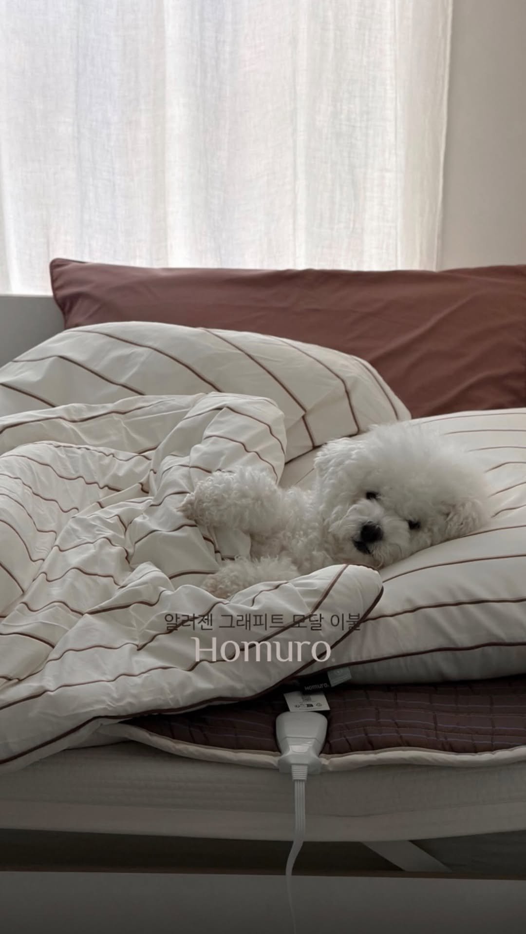 homuro.official 게시물 이미지: 광고 | HOMURO

요즘 침대에 누우면 괜히 더 오래 머물게 되는...