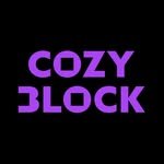 cozyblock.official 프로필 사진
