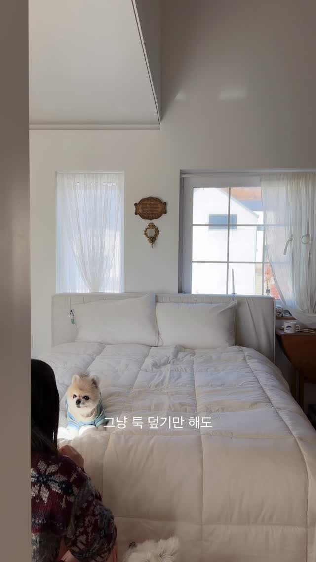 homuro.official 게시물 이미지: #광고 지만 레알 추천템

오늘 아침기온 영하더라구요?!
분명 주말에 단풍 볼때는...