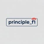 principle_f1 프로필 사진