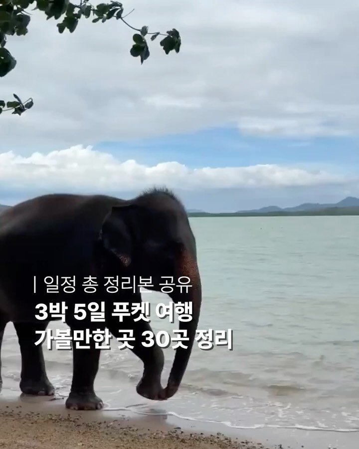 honey_veling 게시물 이미지: 태국 푸켓 코스+가볼만한곳 30 총정리.zip🗂️
(💛 댓글만 남기면 바로 DM...