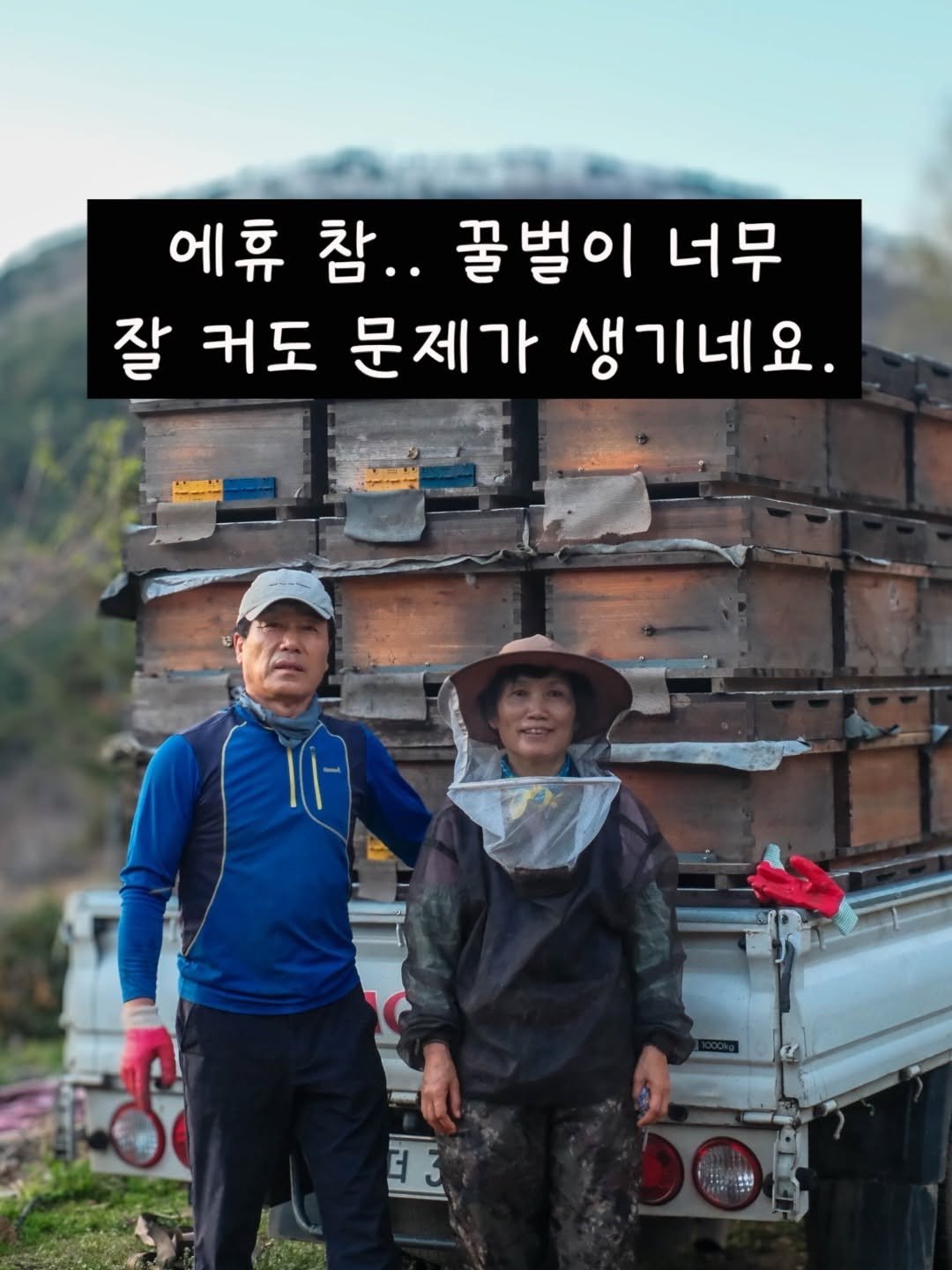 Photo by 꿀며든다 I 55년 양봉농부 I 천연 벌꿀 100% on April 06, 2026. May be an image of outdoors and text that says '에휴 참.. 꿀벌이 너무 잘 커도 문제가 생기네요. T3 더'.