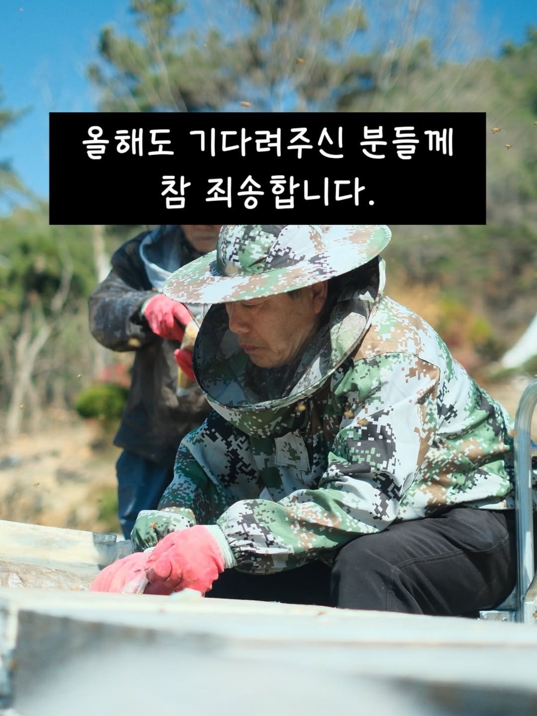 Photo by 꿀며든다 I 55년 양봉농부 I 천연 벌꿀 100% on March 09, 2026. May be an image of outdoors and text that says '올해도 올 기다려주신 분들께 참 죄송합니다. 죄송'.
