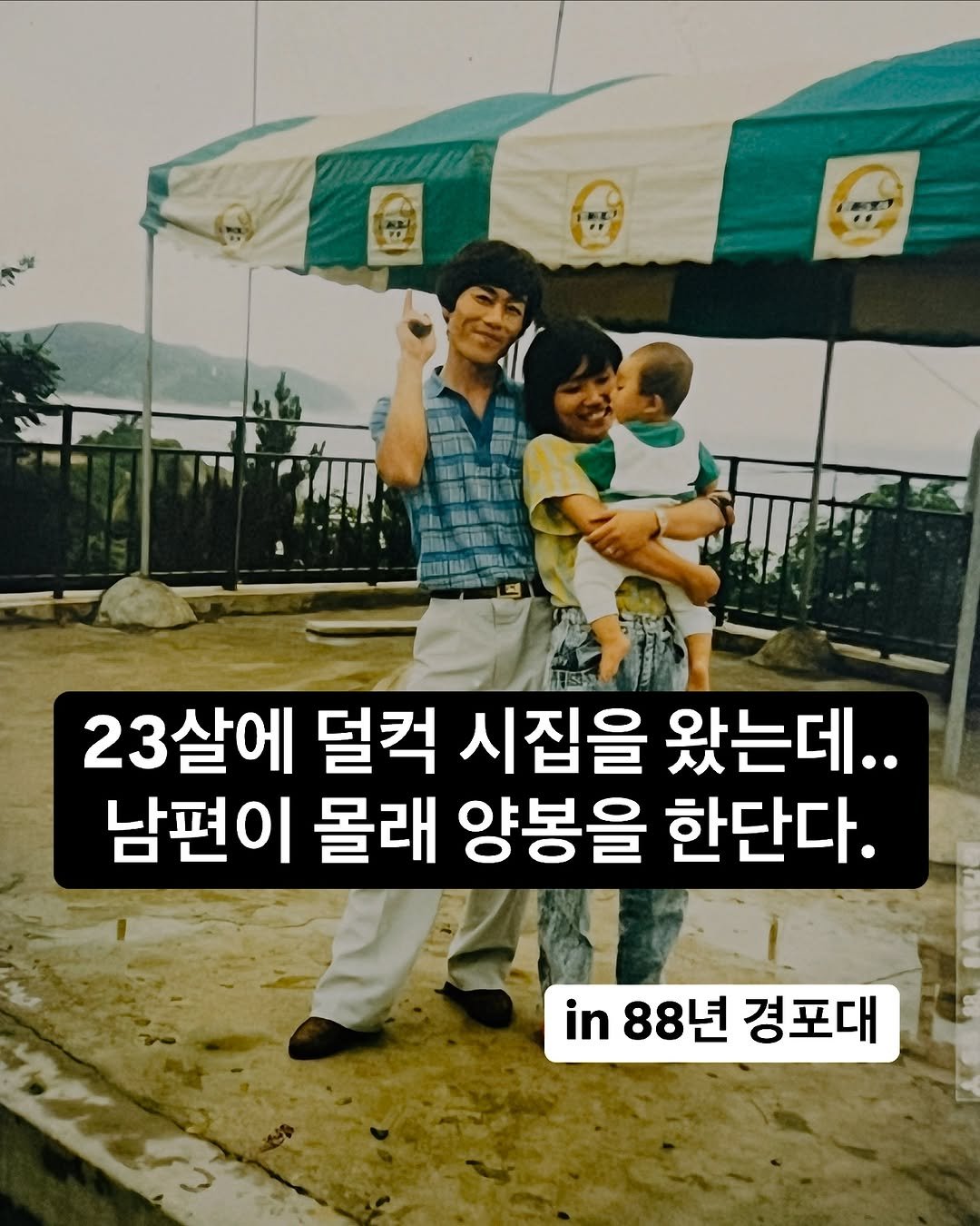 honeybetterbest 게시물 이미지: 23살에 덜컥 시집을 왔는데..
남편이 사실 꿀벌을 키운단다…

설상가상…
꿀벌이...