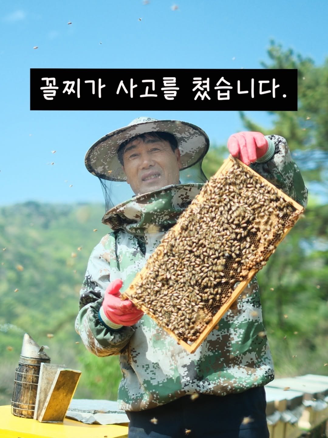 honeybetterbest 게시물 이미지: 저의 아픈 손가락...
.
.
.
분양벌은 겨울을 잘 보내고,
집이 좁아져 2층으로...