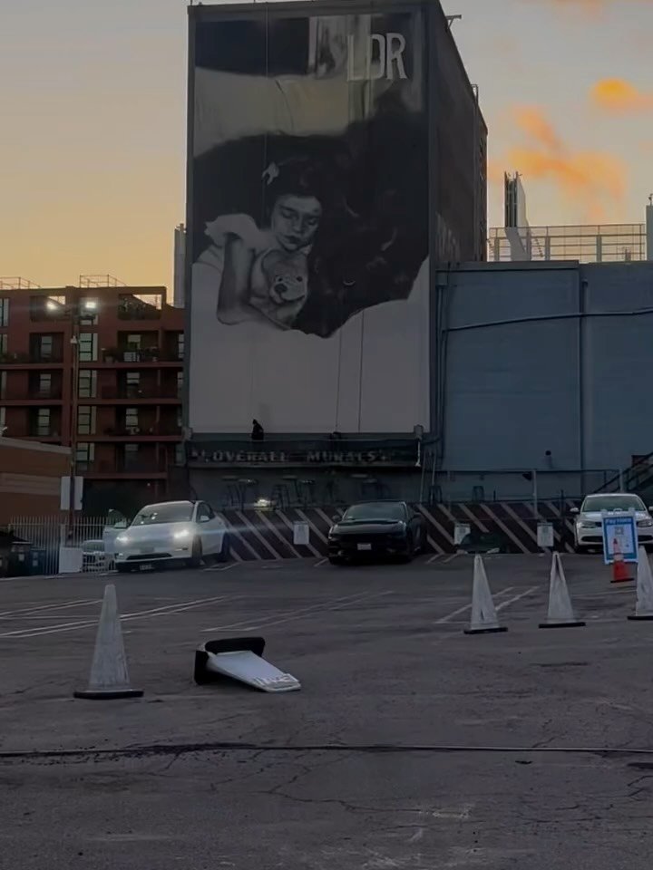 honeymoon 게시물 이미지: Good morning🐊