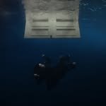 billieeilishhome 프로필 사진