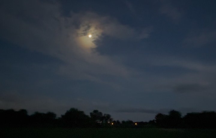honeymoon 게시물 이미지: Every now and then we get a van Gogh moon or...